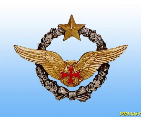 Original French Air Force Escort Pilot Wings